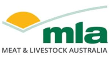 MLA.jpg