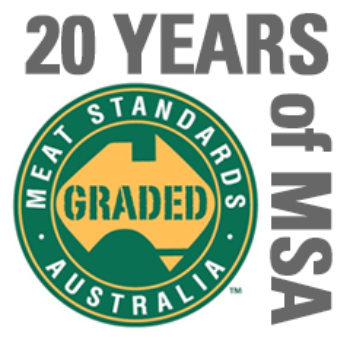 20yrs-of-MSA-dinkus-2.jpg